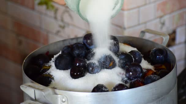 Femme verse des prunes à sucre pour la confiture — Video