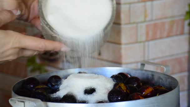 Femme verse des prunes à sucre pour la confiture — Video