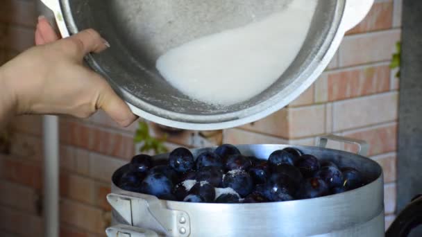 Женщина наливает сахарные сливы для варенья — стоковое видео
