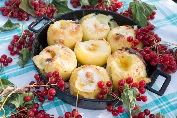 Appetitlich gebackene Äpfel mit frischem Kalina — Stockfoto