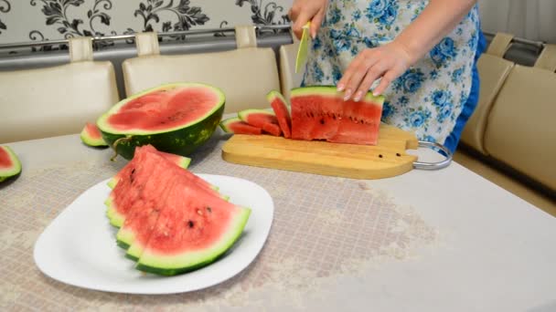 Woman cuts  big ripe watermelon — Stock Video