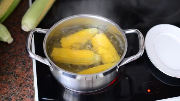 Corn cooked in a pot on stove — Stock Video