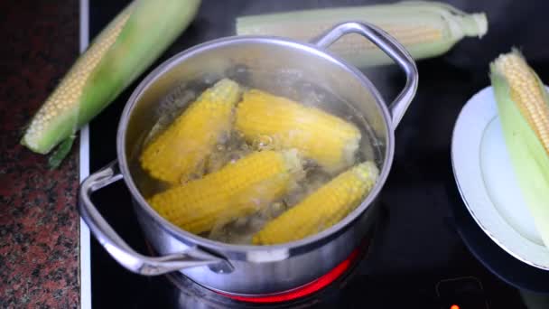 Corn cooked in a pot on stove — Stock Video