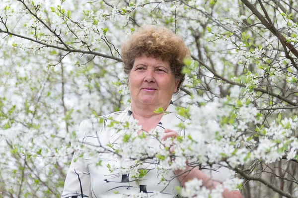 Mulher idosa pensativo na natureza primavera com flores de cereja — Fotografia de Stock