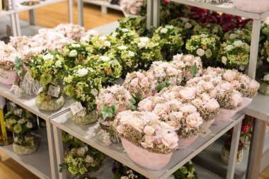 MOSCOW, RUSSIA - 24.09.2015. The interior of  shop Hoff - one of the largest Russian furniture network. Artificial flowers for decoration