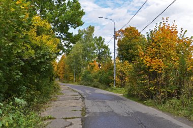 Güneşli erken sonbahar parkta