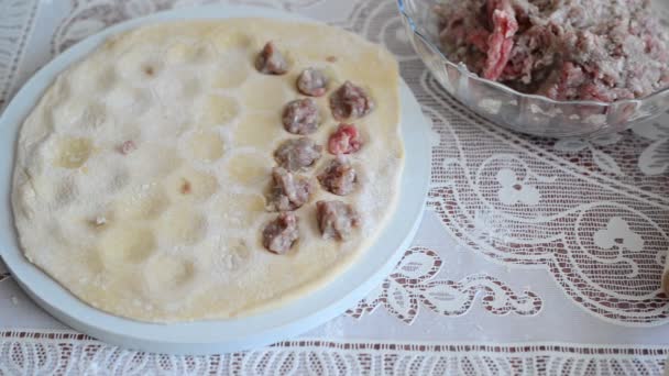 Mãos de crianças estão preparando pelmeni em casa — Vídeo de Stock