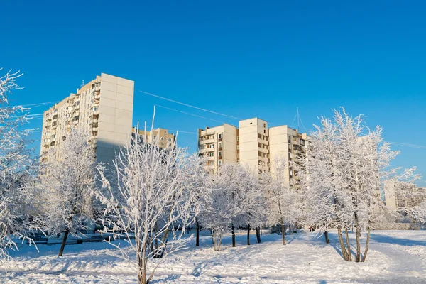 Besneeuwde bomen in de stad van Moskou, Rusland — Stockfoto