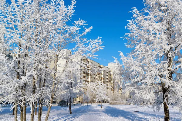 Δέντρα καλυμμένα με χιόνι στην πόλη της Μόσχας, Ρωσία — Φωτογραφία Αρχείου