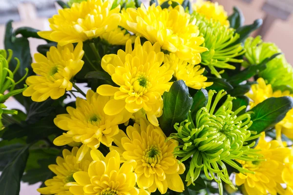 Bouquet de Chrysanthème jaune et vert — Photo