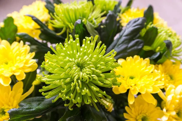 Bouquet de Chrysanthème jaune et vert — Photo
