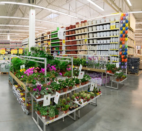 MOSCOW, RUSSIA - FEBRUARY 15, 2015: Potted plants in the store Leroy Merlin. Leroy Merlin is a French home-improvement and gardening retailer serving thirteen countries — Stock Photo, Image