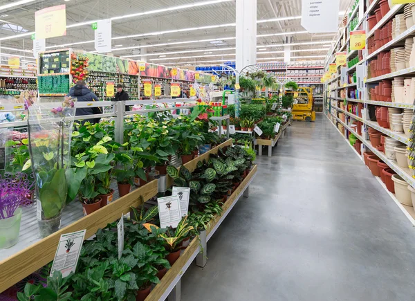 MOSCOW, RUSSIA - FEBRUARY 15, 2015: Potted plants in the store Leroy Merlin. Leroy Merlin is a French home-improvement and gardening retailer serving thirteen countries — Stock Photo, Image