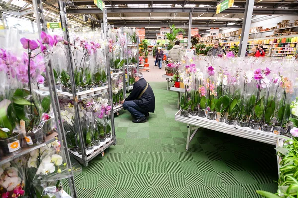 MOSCÚ, RUSIA - 04 DE MARZO DE 2015: Orquídeas en la tienda OBI en Moscú Rusia. OBI es una cadena alemana de tiendas minoristas y la construcción de 570 tiendas en todo el país . — Foto de Stock
