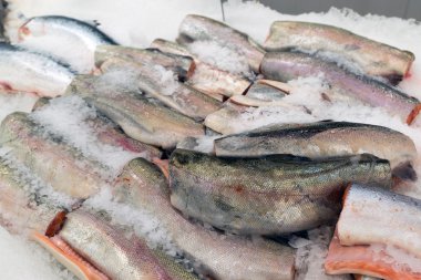 Kırmızı balık buzda balık pazarında büyük parçaları