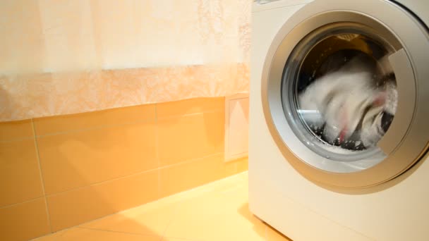 Zwart-wit Wasserij wordt gewassen in de wasmachine — Stockvideo