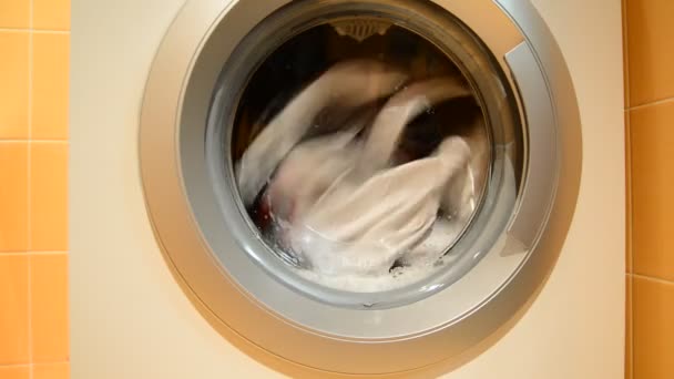 Zwart-wit Wasserij wordt gewassen in de wasmachine — Stockvideo