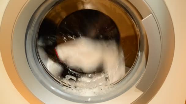 Zwart-wit Wasserij wordt gewassen in de wasmachine — Stockvideo