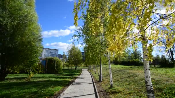 Moscow city park in autumn — Stock Video