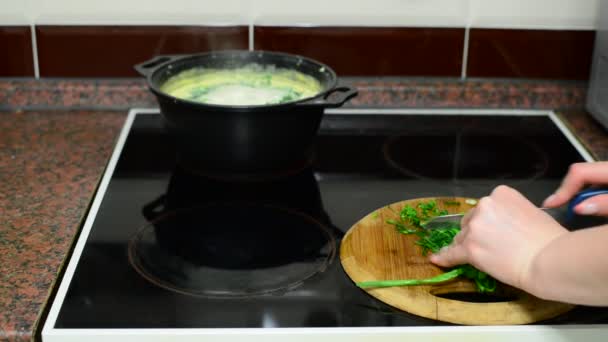 Woman prepares cheese soup in kitchen — Stock Video