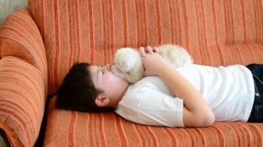 Genç çocuk kanepede bir yavru kedi ile oynarken