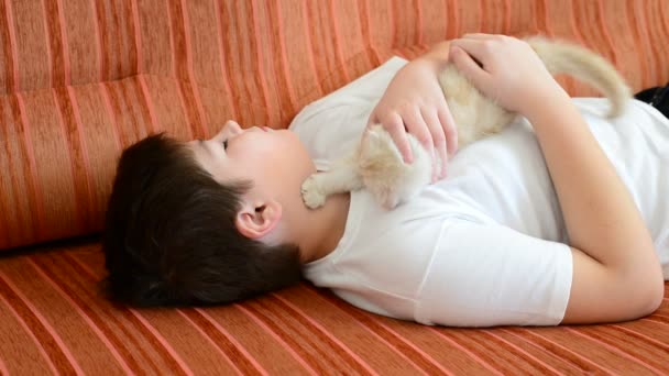 Adolescent garçon jouer avec un chaton sur canapé — Video