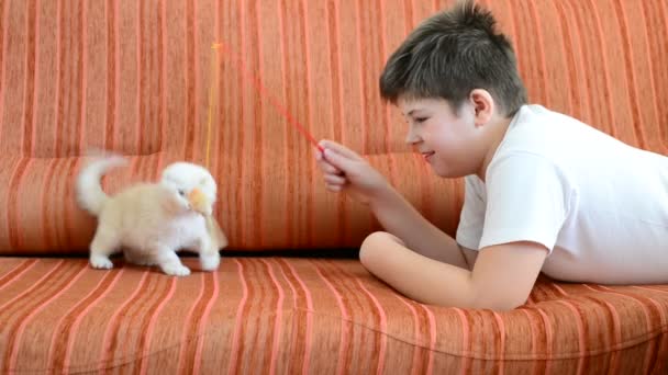 十几岁的男孩和一只小猫在沙发上玩 — 图库视频影像