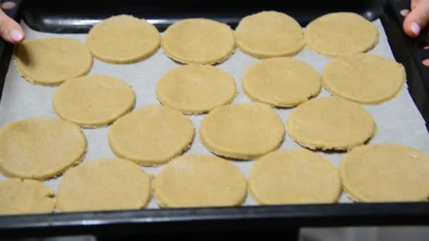 Donna sta tenendo una teglia con biscotti di farina d'avena fatti in casa — Video Stock