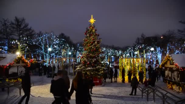 Moscow, Rusland - 17 januari 2015. Kerstmis illuminations op Tverskoy Boulevard — Stockvideo