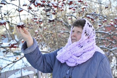 Leylak yaşlı kadında Rowan hakkında kafa onun maliyetlerinde atkı örgü