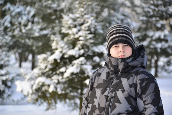 Portrét vážnou dospívající chlapce v borovém lese v zimě — Stock fotografie