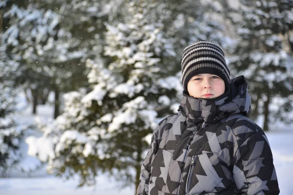 Retrato de un adolescente serio en un bosque de pinos en invierno — Foto de Stock