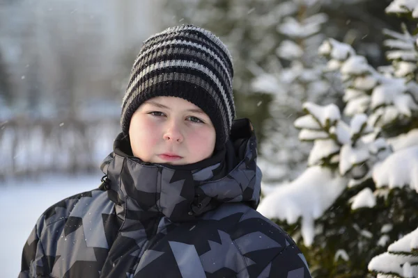 Ritratto di ragazzo adolescente serio in una pineta in inverno — Foto Stock