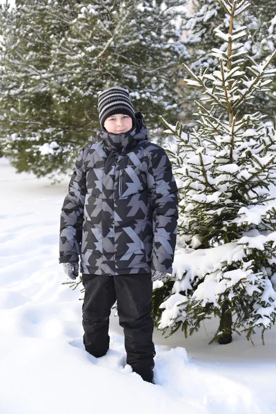 Teenage boy at a pine forest in winter — Stock Photo, Image