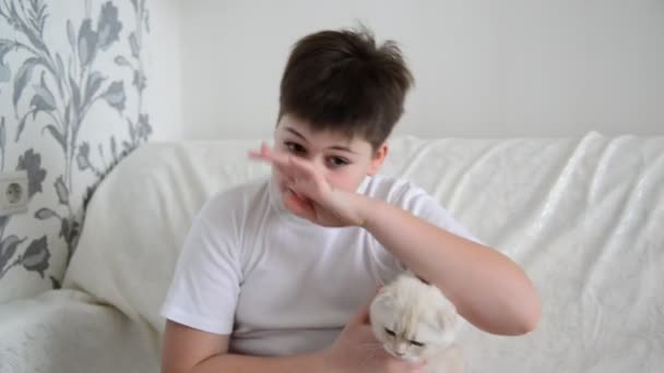 Adolescente con un'allergia ai gatti che grattano il naso — Video Stock