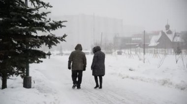 Kar fırtınası Şehir Parkı, Moskova, Rusya - 2 Şubat 2016 - insanlar yürümek