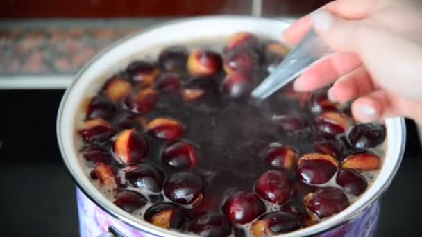 Huisvrouw mixen plum compote in de pan — Stockvideo