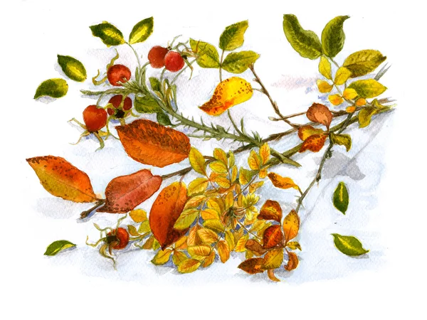 Akvarell hösten gäng — Stockfoto