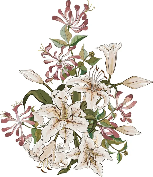 Bouquet de lis et chèvrefeuille — Image vectorielle