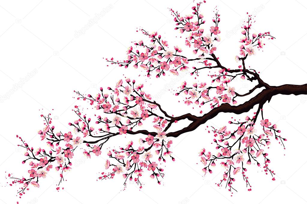 Branch of a blossoming cherry