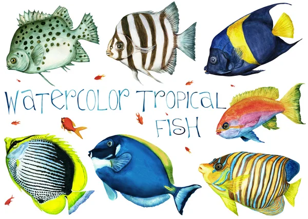 Aquarell tropische Fische Set — Stockfoto