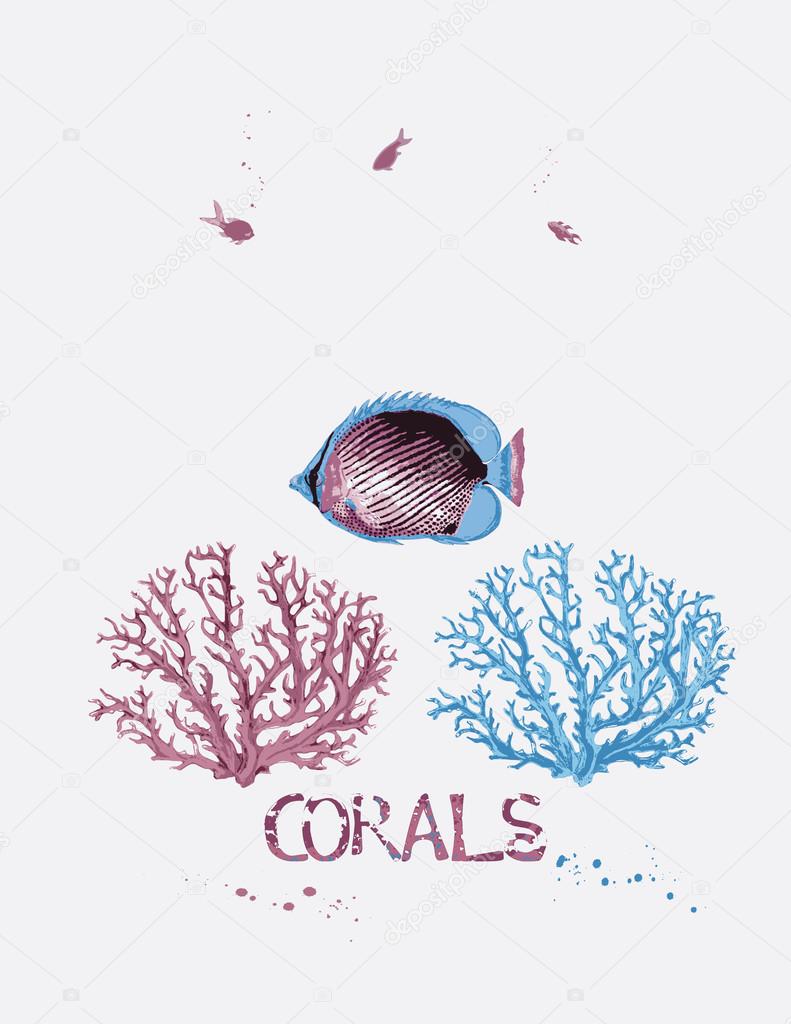 Corals and fish