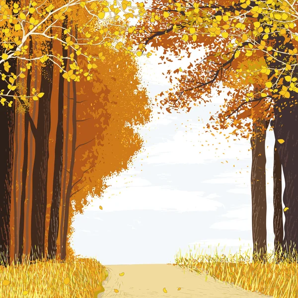 Осенний лес — стоковый вектор