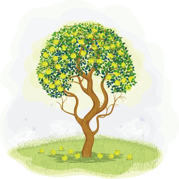 Grüner Apfelbaum — Stockvektor