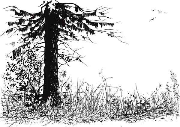 Silueta forestal — Archivo Imágenes Vectoriales