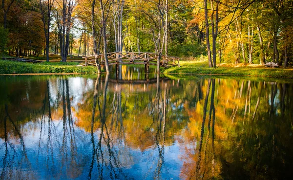 Höst i parken — Stockfoto