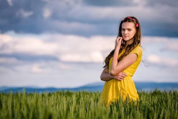 在小麦田中的女孩 免版税图库照片