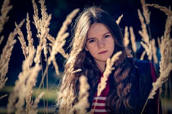 牧草地の少女 ロイヤリティフリーのストック写真