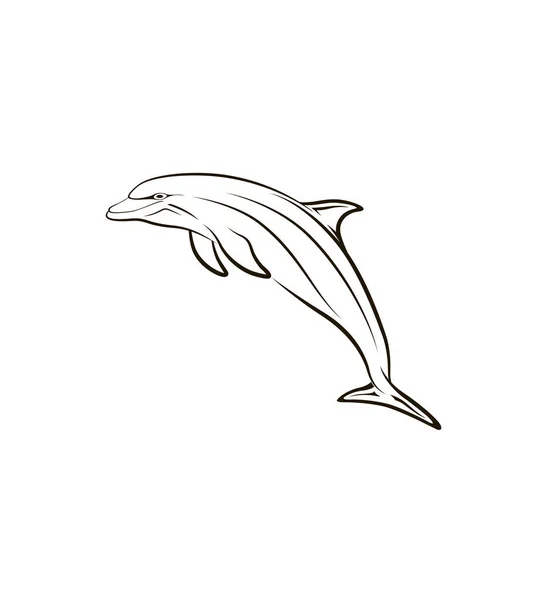Stylized Creative Vector Illustration Dolphin Tattooon Black White Background — Stock Vector