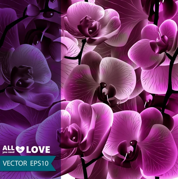 Orchid flower vector template. EPS10. — Stock Vector
